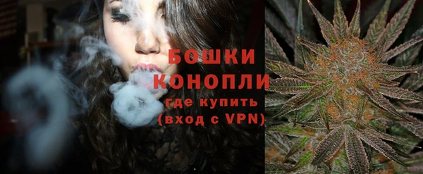 PSILOCYBIN Верхний Тагил